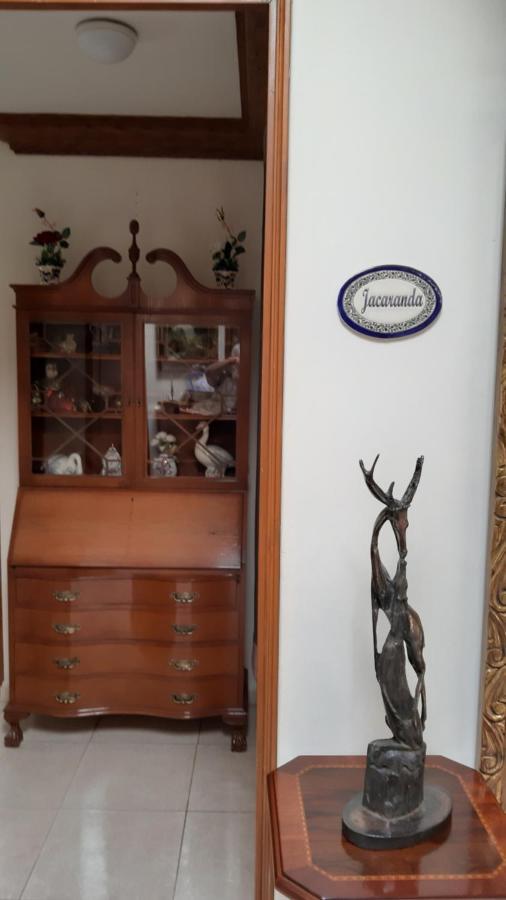 El Jardin Del Eden B&B Boutique Cuernavaca Eksteriør bilde