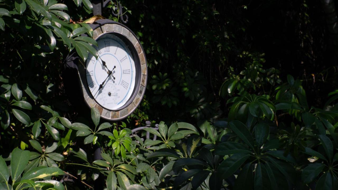 El Jardin Del Eden B&B Boutique Cuernavaca Eksteriør bilde