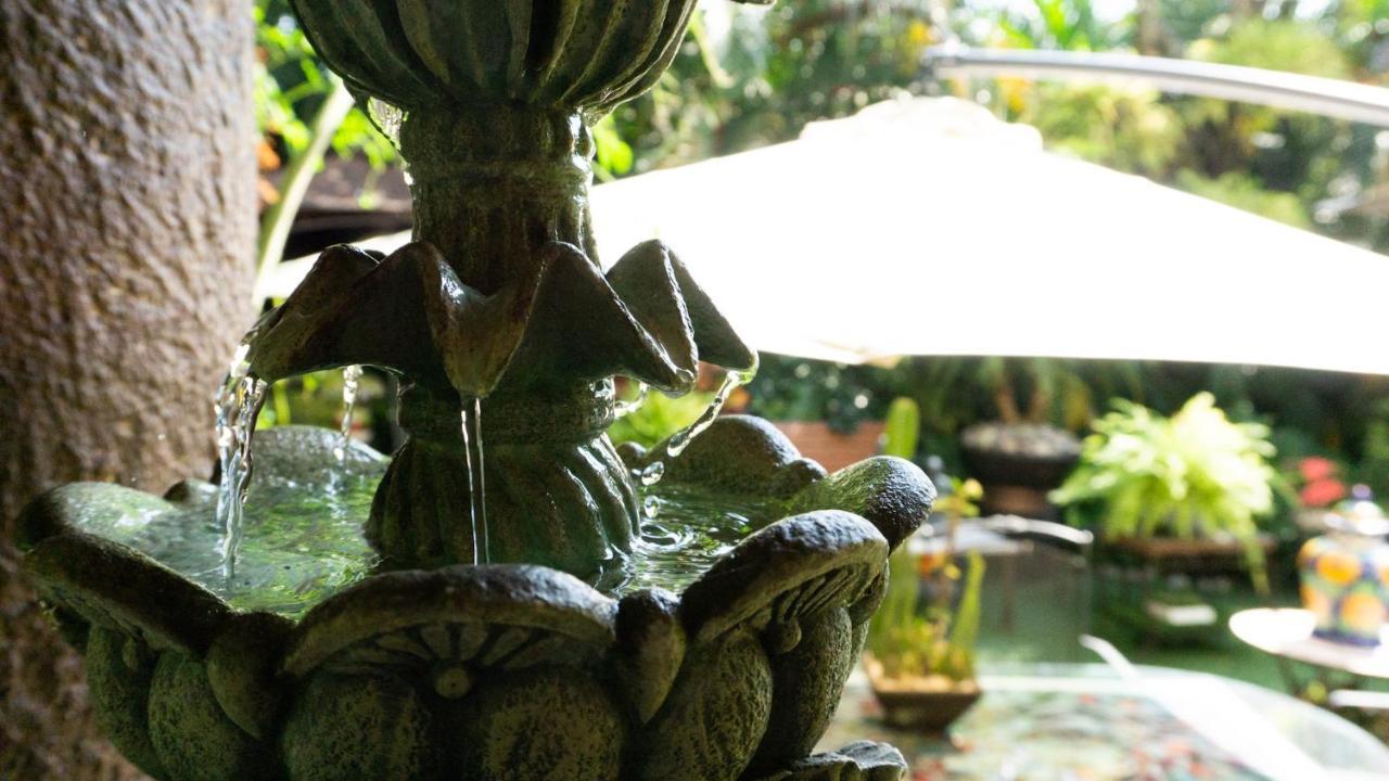 El Jardin Del Eden B&B Boutique Cuernavaca Eksteriør bilde