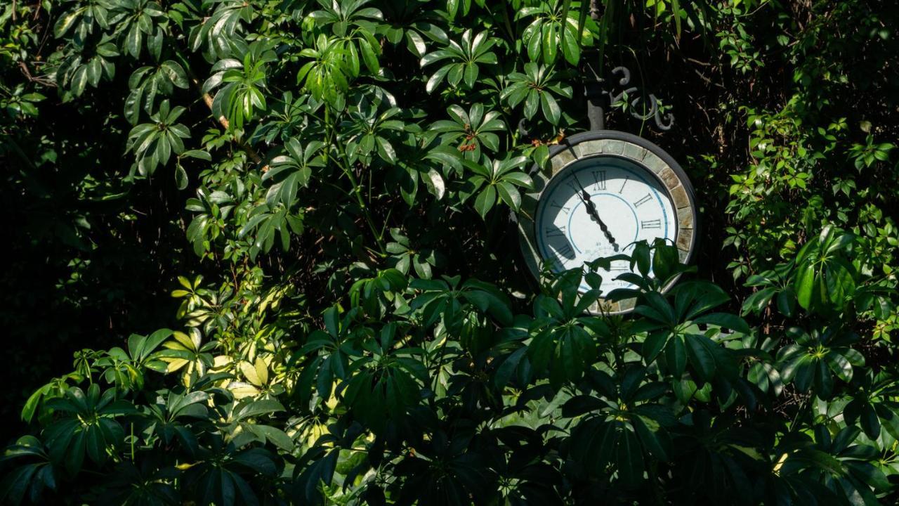 El Jardin Del Eden B&B Boutique Cuernavaca Eksteriør bilde