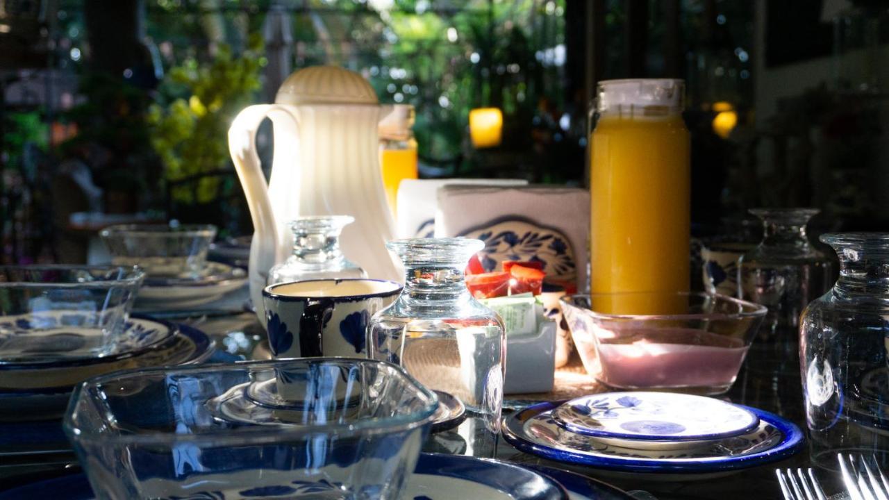 El Jardin Del Eden B&B Boutique Cuernavaca Eksteriør bilde