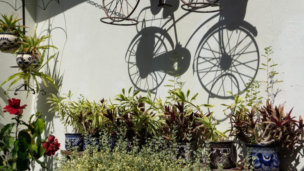 El Jardin Del Eden B&B Boutique Cuernavaca Eksteriør bilde