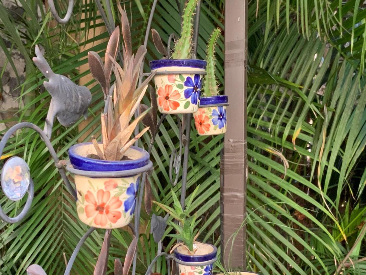 El Jardin Del Eden B&B Boutique Cuernavaca Eksteriør bilde