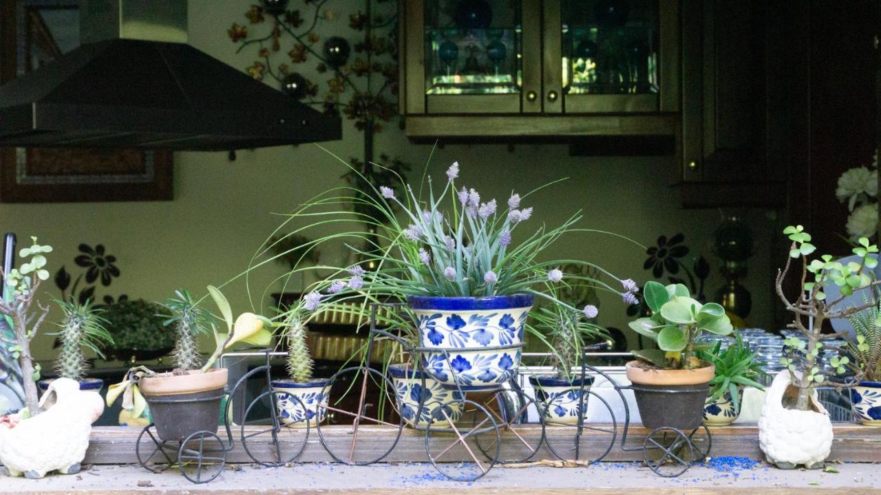 El Jardin Del Eden B&B Boutique Cuernavaca Eksteriør bilde